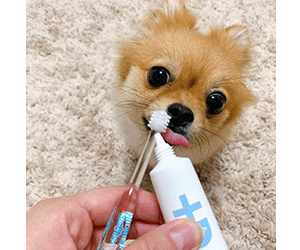 ドクターデンタルワン