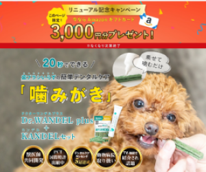 Dr.WANDEL<sup>※①</sup>