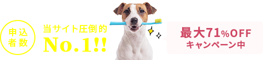 申込者数当サイト圧倒的No.1！最大71％OFFキャンペーン中
