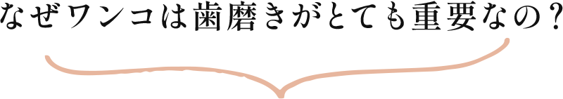 なぜワンコは歯磨きがとても重要なの？