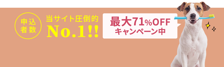 申込者数当サイト圧倒的No.1！最大71％OFFキャンペーン中