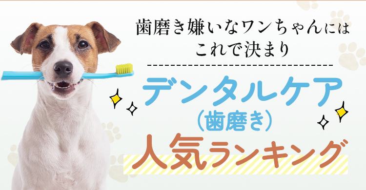 絶対おすすめの愛犬デンタルケア(歯磨き)比較